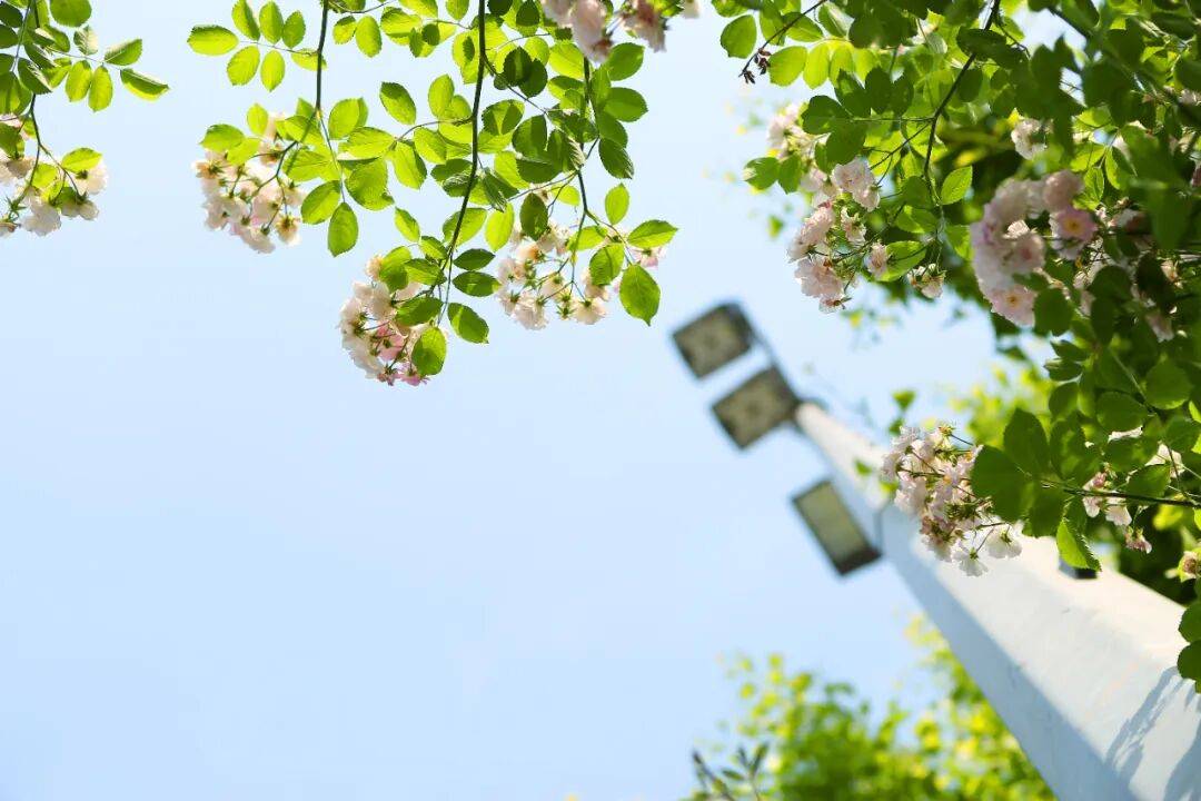 北京师范大学2026年博士研究生招生简章