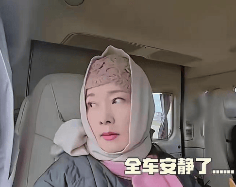 考古|何赛飞录节目把刘嘉玲刘晓庆等嘉宾得罪完,她是情商低还是真性情?