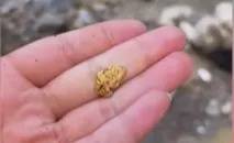 “一盆就出了5克多”！一河道多人凌晨冒严寒淘金，当地紧急回应