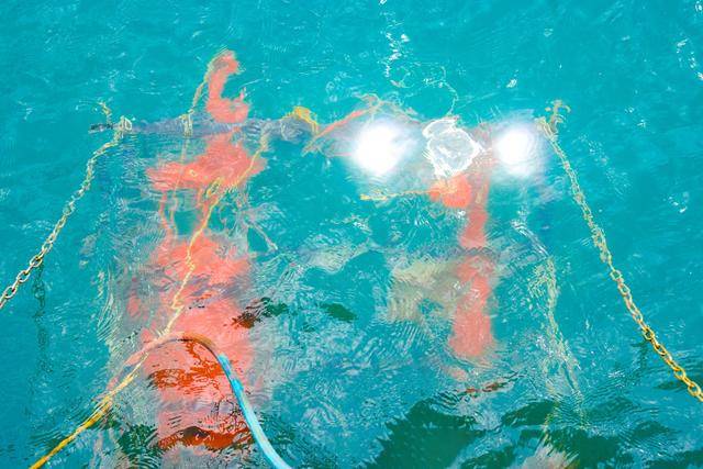 让海洋观测迈向“连续感知”！深圳先进院多项海洋科技成果亮相大鹏湾