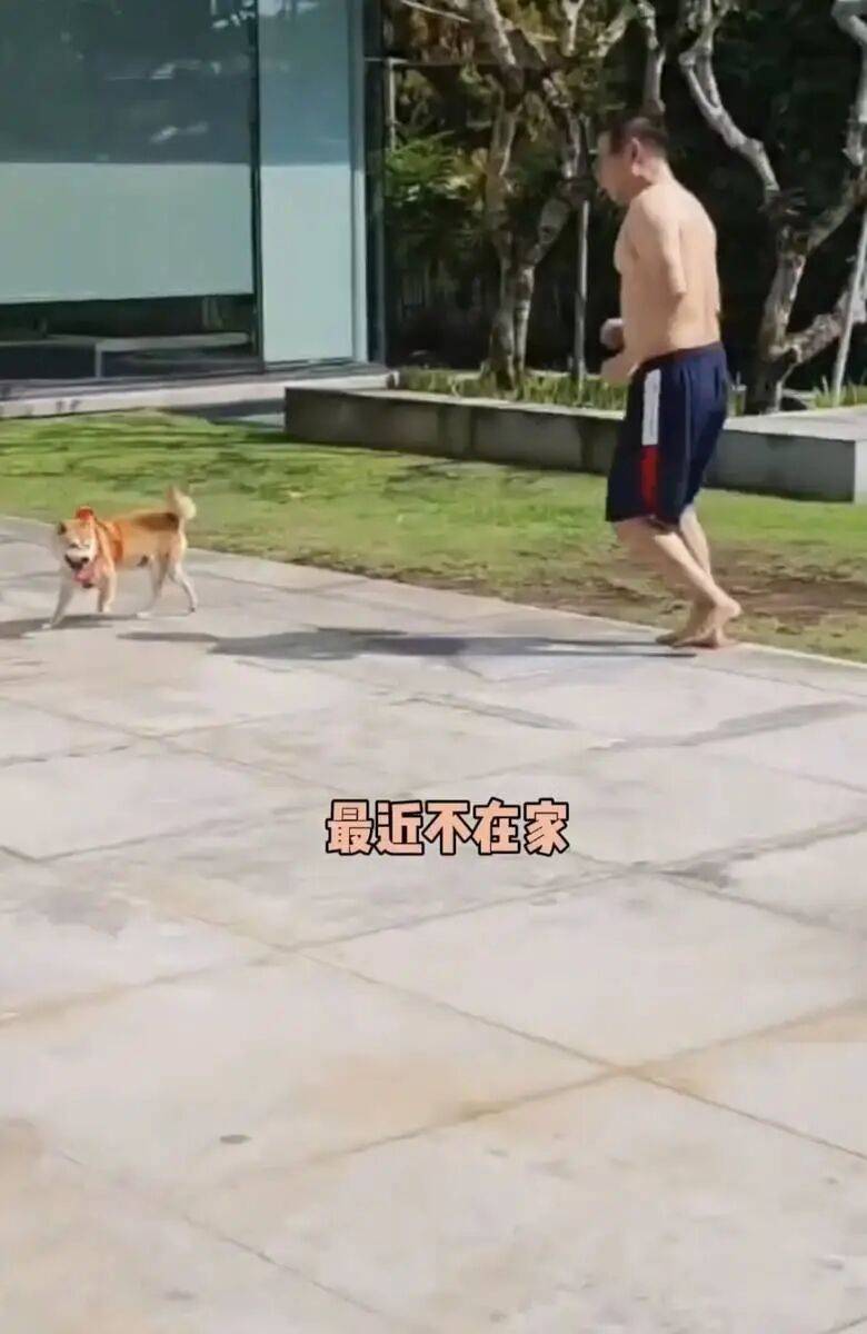 考古|李连杰晒游泳照状态重返巅峰！武打多年受伤频繁又患甲亢，功夫皇帝一路走来太不易