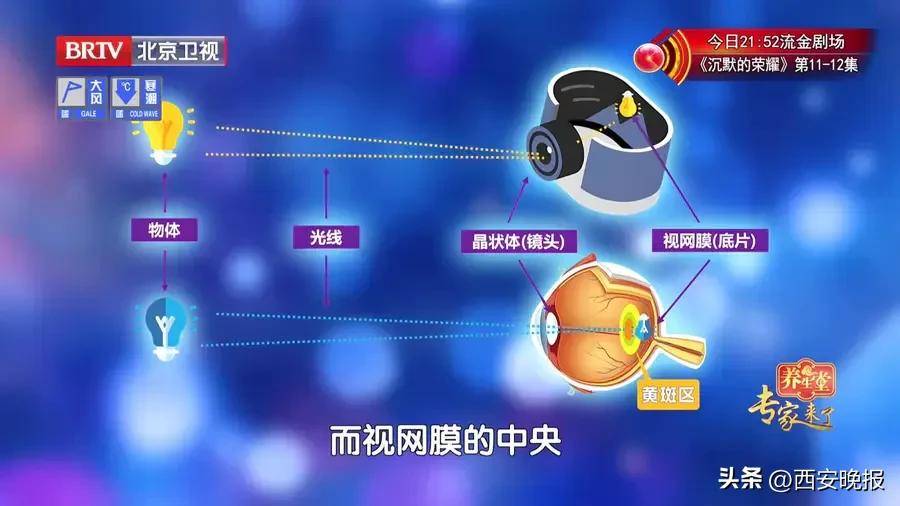 著名女演员放弃演戏！疾病恶化，已认不出任何人