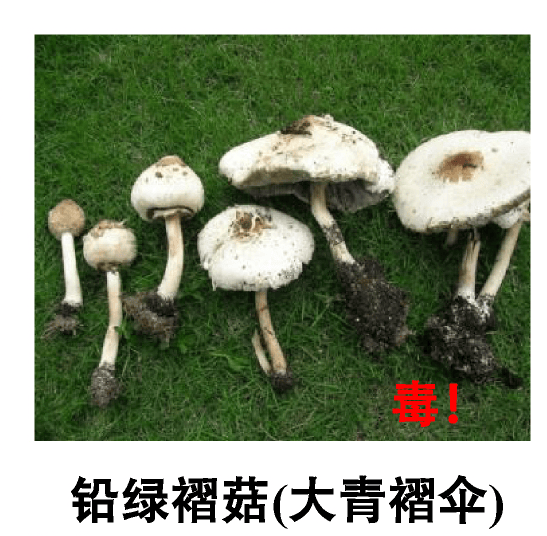 深圳一对夫妻深夜双双入院！一周内12人中招！近期很常见，千万别碰