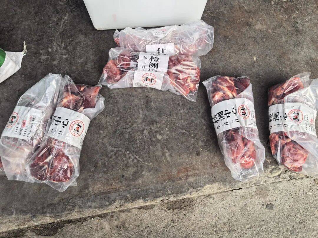 警方突袭，现场多人正往猪肉上涂抹牛油、牛血……