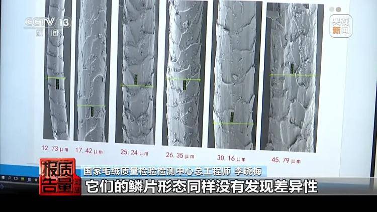 你穿的“100%绵羊绒”，可能一根羊绒都没有