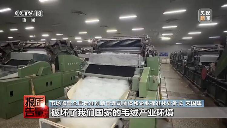 你穿的“100%绵羊绒”，可能一根羊绒都没有
