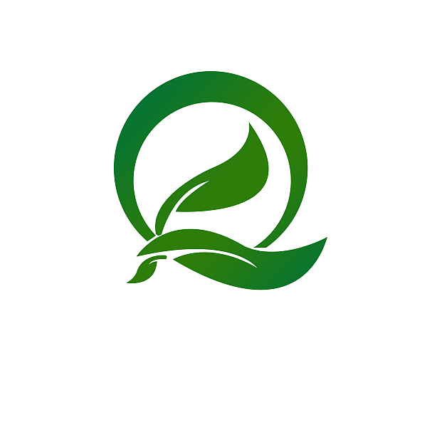 Q网(Q网络词什么意思?)