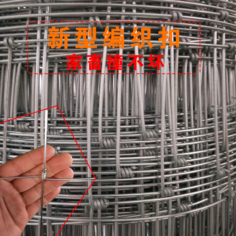 R网(弱网工具和平精英)